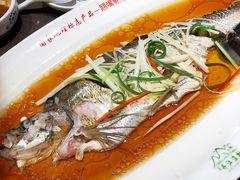 -丹江渔村(望京店)