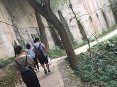 -西湖风景区十里琅珰-五云山