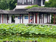 -南园(太仓市)