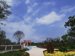-东平国家森林公园