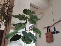 -花仓咖啡(祥安巷店)