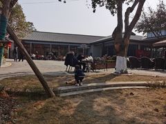 -满天星花园