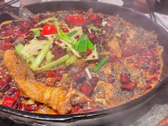 -老板恋上鱼(恒隆广场店)