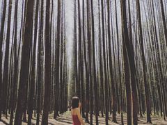 -山王坪喀斯特国家生态公园