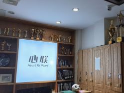 -心联形象设计·流星染