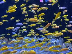 -成都浩海立方海洋公园