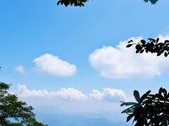 -瓦屋山景区