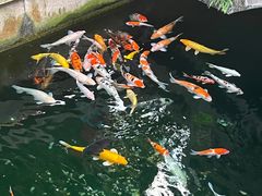 -寒山寺