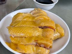 -小本鸡饭店(滨江白马湖店)