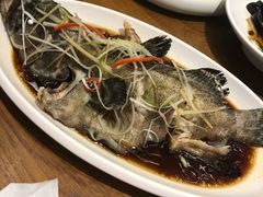 -必点海鲜·鲅鱼水饺(鞍山西道店)