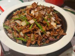 -秀儿四九城·新京菜(亚运村鸟巢店)