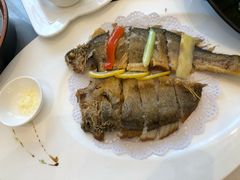 -骏莱海鲜鱼港(五角场店)