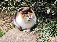 -十里琅珰
