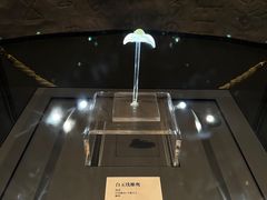 -平顶山博物馆