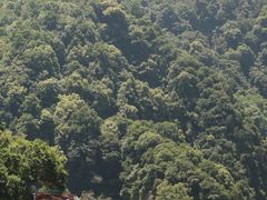-少华山国家森林公园