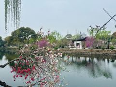 -无锡蠡湖国家湿地公园-蠡园