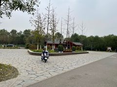 -东郊湿地公园