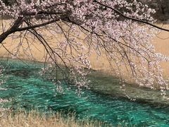 -上海虹桥西郊庄园丽笙大酒店
