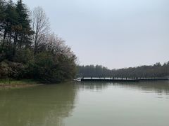 -上海海湾国家森林公园