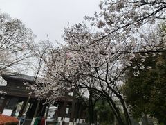-堤角公园