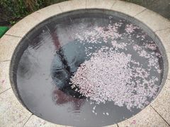 -咸宁万豪温泉谷度假区