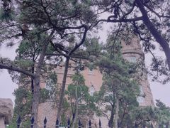 -八大关景区