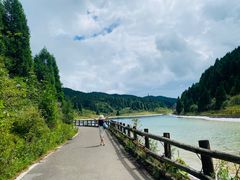 -武陵山森林公园