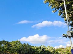 -人民公园(罗湖区)