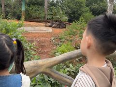 -海南热带野生动植物园