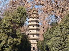 -灵谷景区