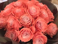 -ROSEONLY诺誓(广州K11店)