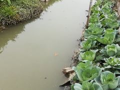-润记农家菜