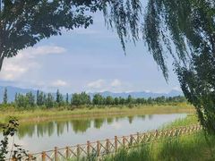 -野鸭湖国家湿地公园