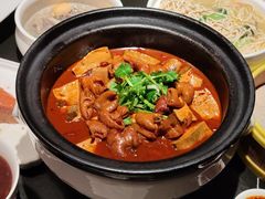 砂锅臭豆腐肥肠煲-童福兴·南京菜(老门东店)
