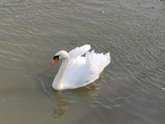 -南京金牛湖风景区