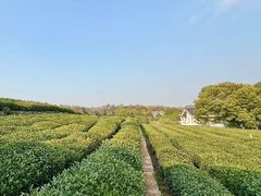 -中国茶叶博物馆(双峰馆区)