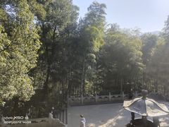 -灵隐飞来峰景区