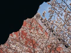 -钱王祠