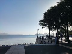 -深圳湾公园(南山区)