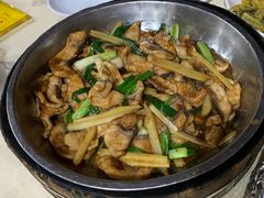 鸭嘴鱼-鲤鱼塘农家山庄