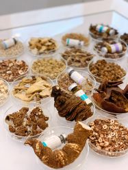 -采之汲·云南白药集团