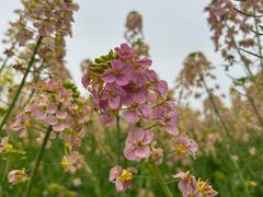 -中国天府农业博览园