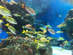 -海合安成都极地海洋公园