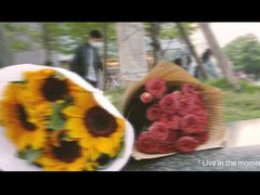 -循礼门鲜花花市(武汉循礼门店)