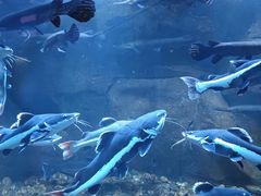 -沈阳海洋探索中心