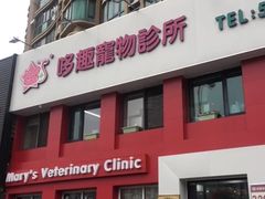 -哆趣宠物医院·眼科·内镜·急重症转诊中心(上海店)
