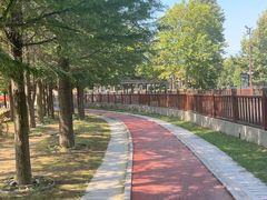 -羊亭河湿地公园