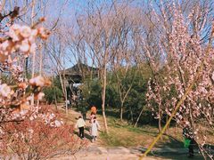 -蜀冈西峰生态公园