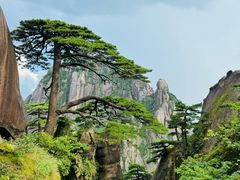-黄山风景区