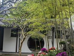 -上海醉白池公园